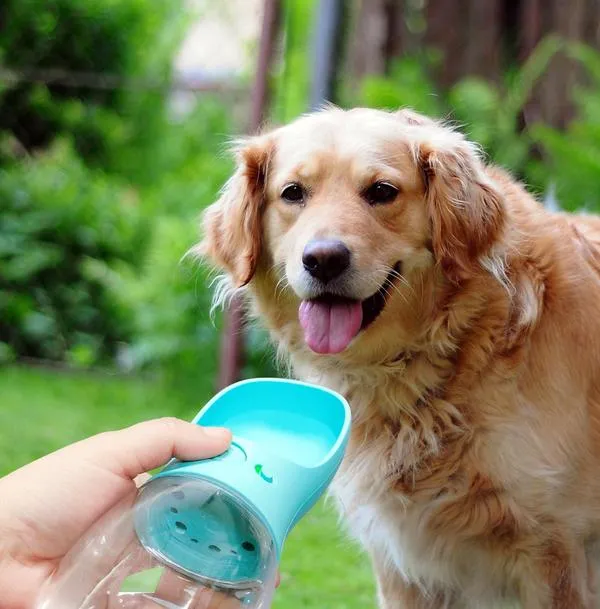 Compact Portable Water Bottle