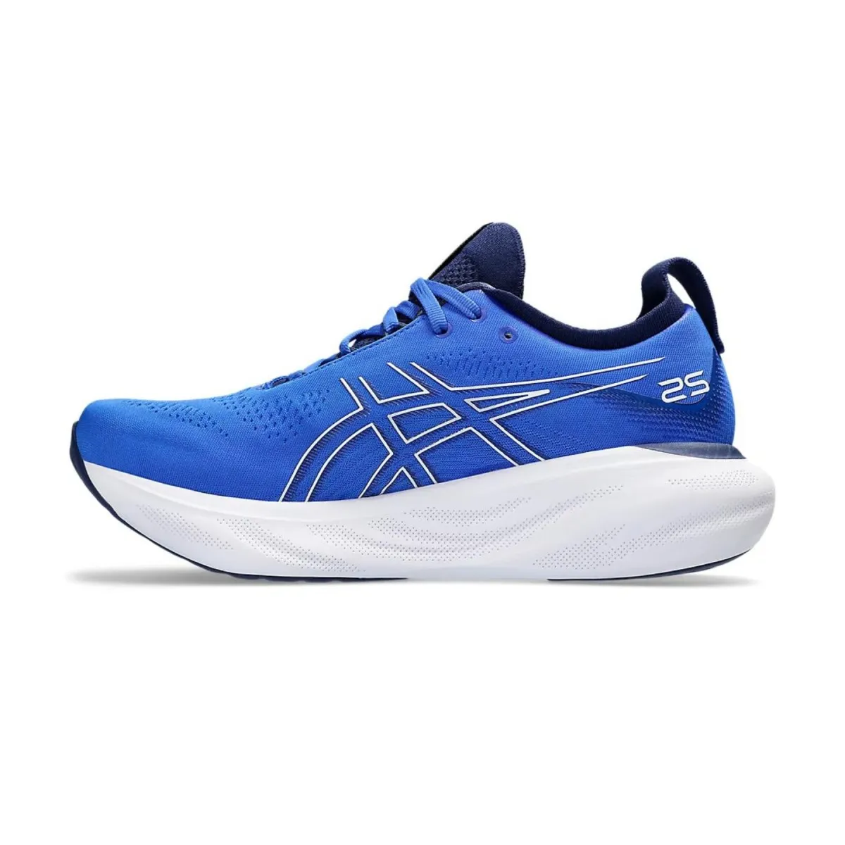 Shoes Asics Gel Nimbus 25 Blue