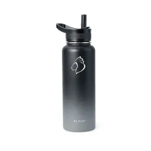 Stainless Steel Water Bottle with 3 Lids | 40oz | Shadow